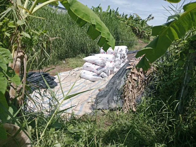 Bất động sản tại Đồng Tháp - ảnh 1