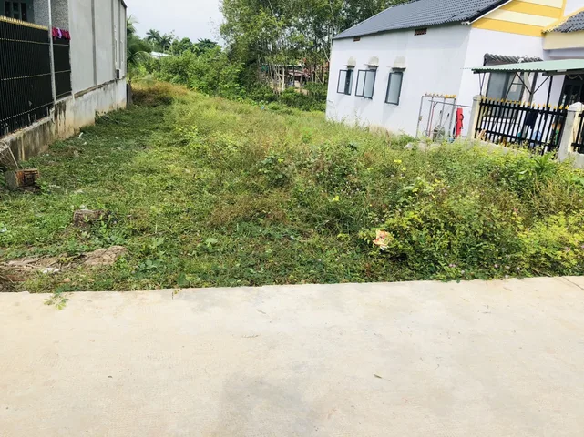 Bất động sản tại Bình Dương - ảnh 1