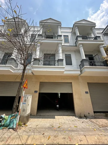 Bất động sản tại Bình Dương - ảnh 1