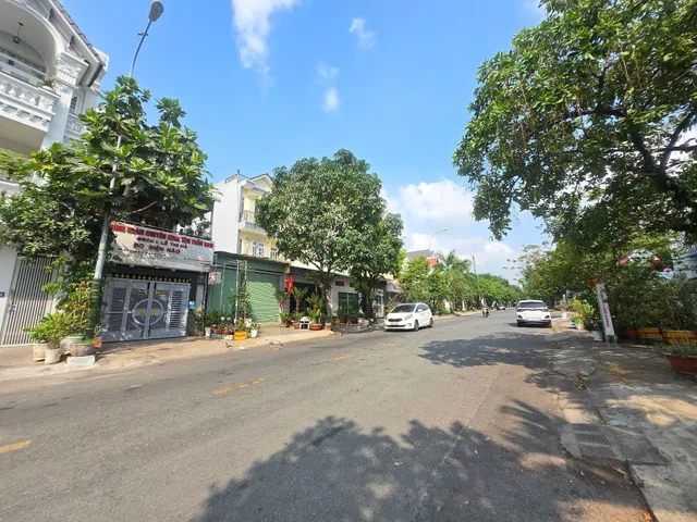 Bất động sản tại Bình Dương - ảnh 1