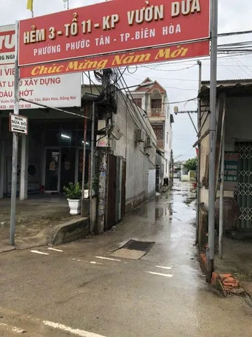 Bất động sản tại Đồng Nai - ảnh 1