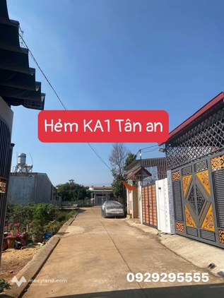 Bất động sản tại Long An - ảnh 1