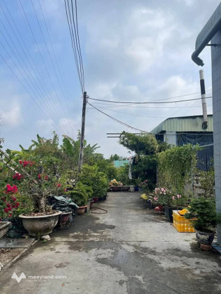 Bất động sản tại Bà Rịa - Vũng Tàu - ảnh 1
