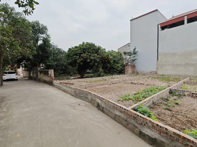 Bất động sản tại Bắc Ninh - ảnh 1