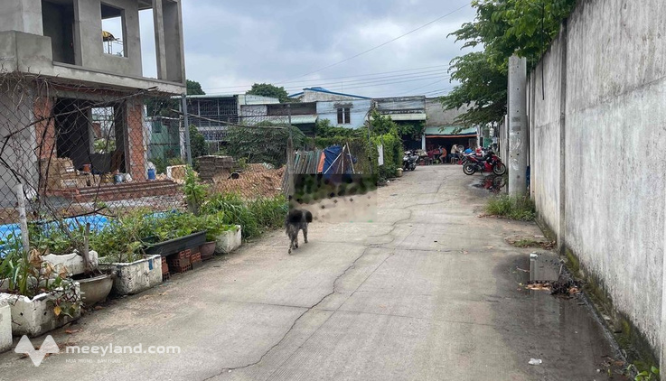 Bất động sản tại Bình Dương - ảnh 1