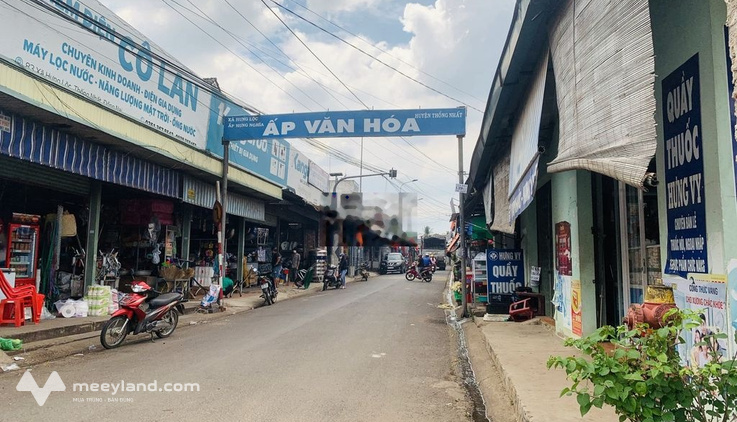 Bất động sản tại Đồng Nai - ảnh 1