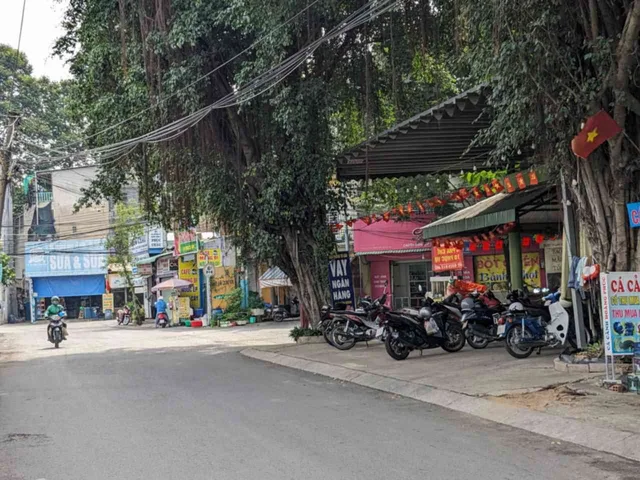 Bất động sản tại Bình Dương - ảnh 1