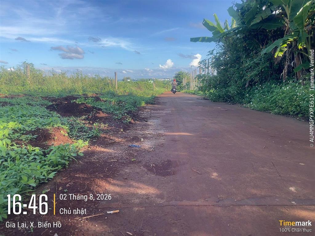 Bất động sản tại Gia Lai - ảnh 1