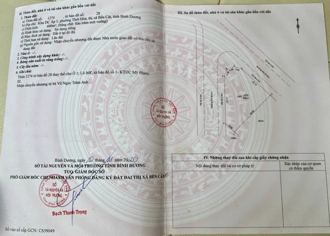Bất động sản tại Bình Dương - ảnh 1