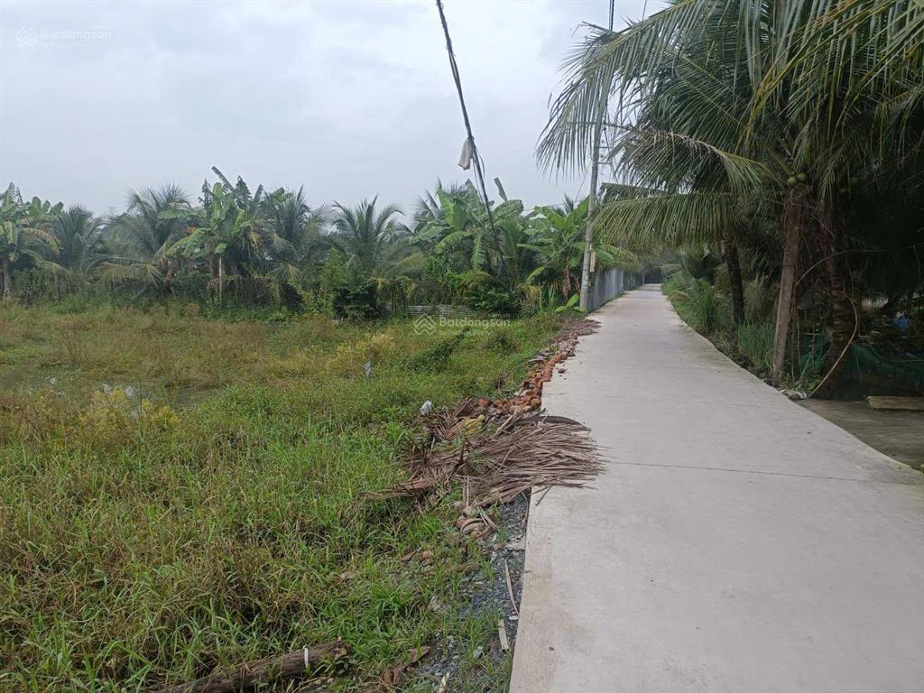 Bất động sản tại Tiền Giang - ảnh 1