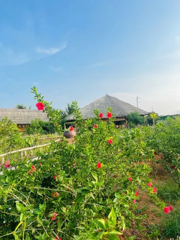 Bất động sản tại Lâm Đồng - ảnh 1