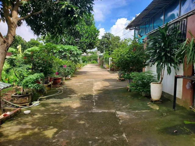 Bất động sản tại TP. Hồ Chí Minh - ảnh 1