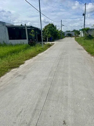 Bất động sản tại Bình Dương - ảnh 1