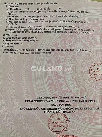 Bất động sản tại Bình Dương - ảnh 1