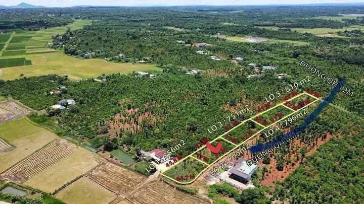 Bất động sản tại Đắk Lắk - ảnh 1