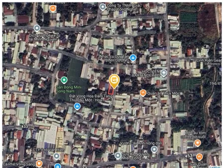 Bất động sản tại Bình Dương - ảnh 1