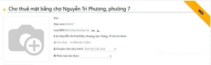 Bất động sản tại TP. Hồ Chí Minh - ảnh 1