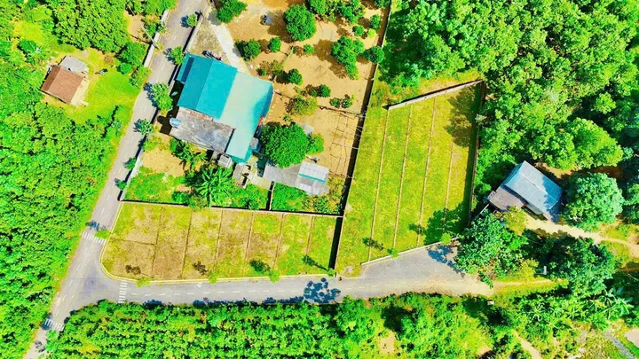 Bất động sản tại Phú Thọ - ảnh 1