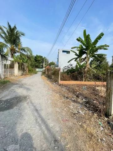 Bất động sản tại Bình Dương - ảnh 1
