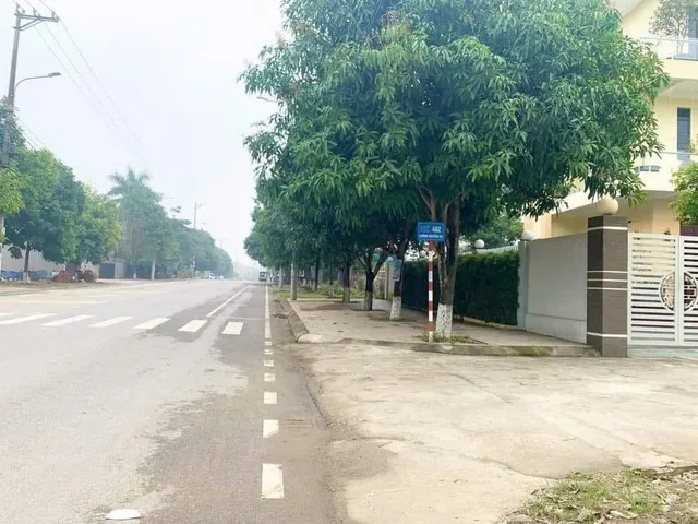 Bất động sản tại Phú Thọ - ảnh 1