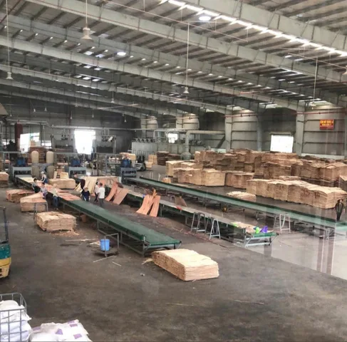 Bất động sản tại Bình Dương - ảnh 1