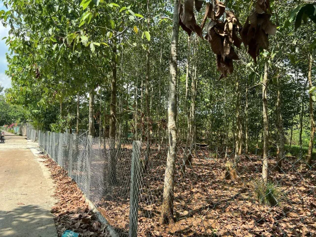 Bất động sản tại Đồng Nai - ảnh 1