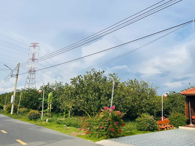 Bất động sản tại Bình Dương - ảnh 1