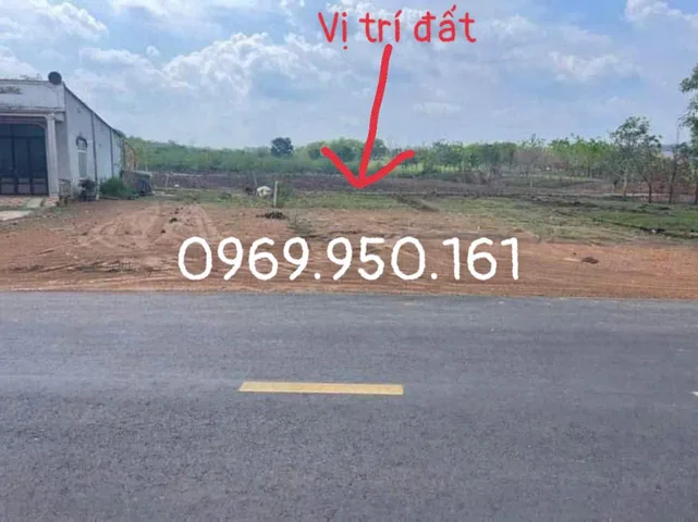 Bất động sản tại Bình Phước - ảnh 1