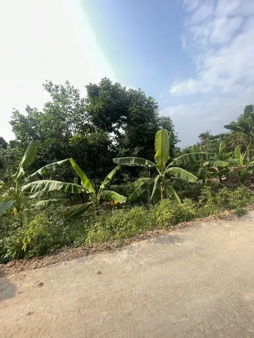 Bất động sản tại Quảng Ninh - ảnh 1