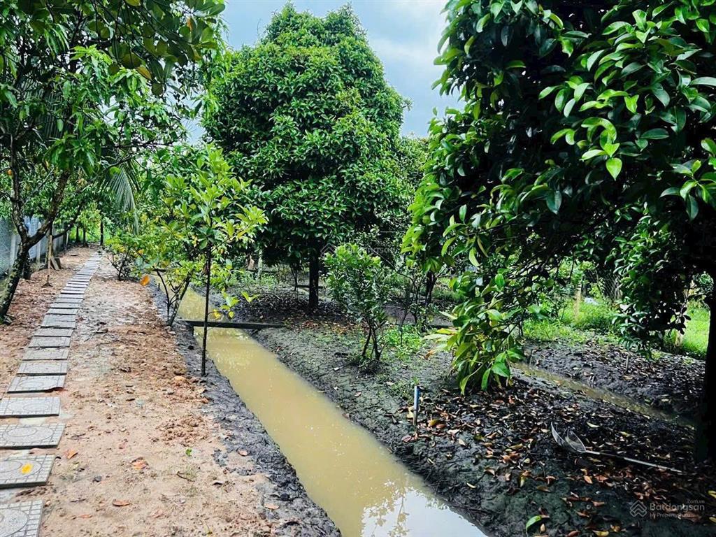 Bất động sản tại Bình Dương - ảnh 1