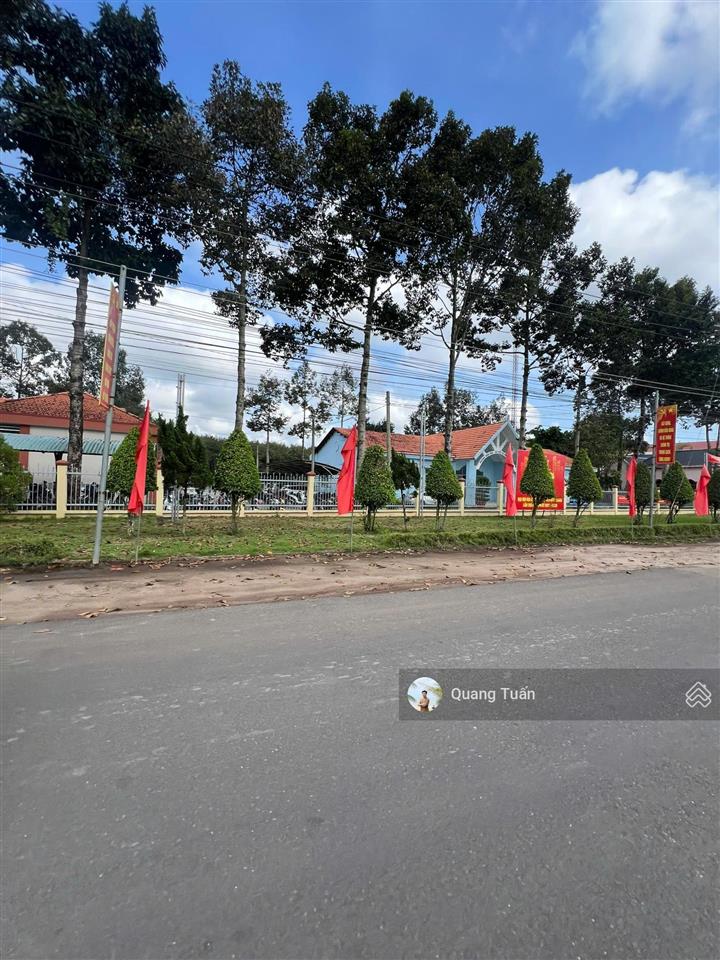 Bất động sản tại Bình Dương - ảnh 1