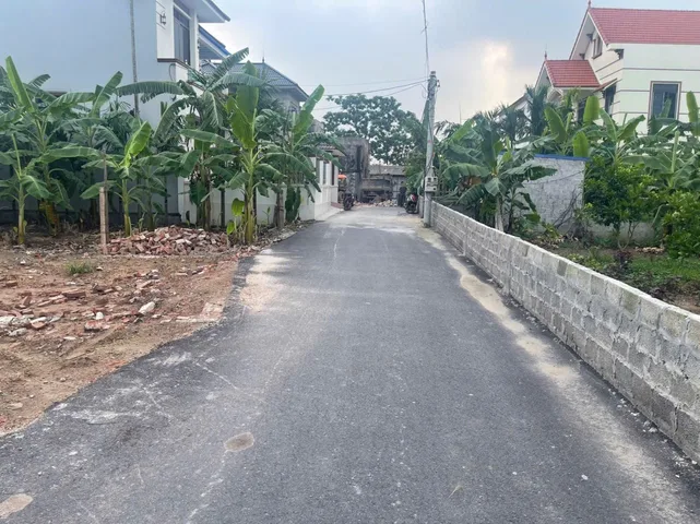 Bất động sản tại Hưng Yên - ảnh 1