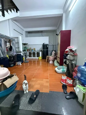 Bất động sản tại Đà Nẵng - ảnh 1