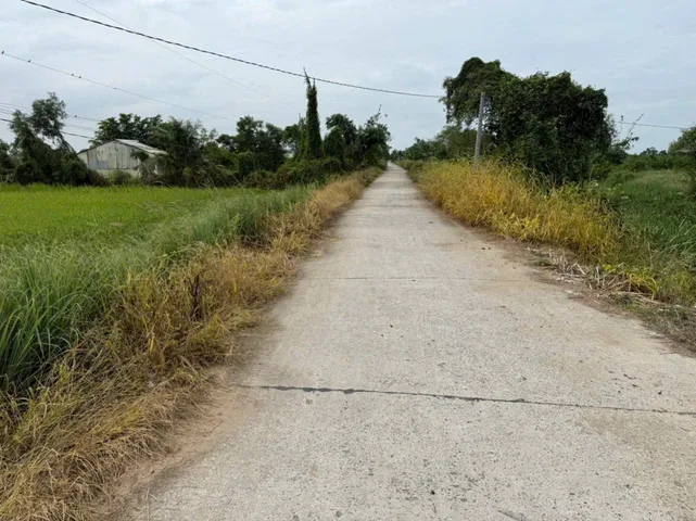 Bất động sản tại Long An - ảnh 1