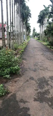 Bất động sản tại Đắk Lắk - ảnh 1