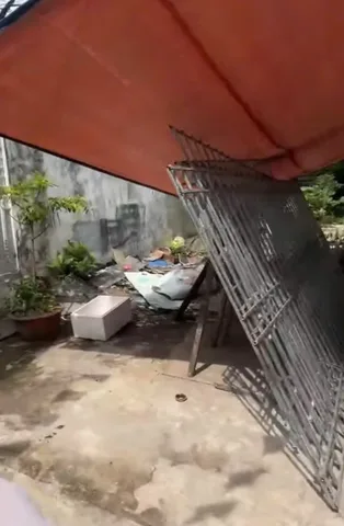 Bất động sản tại Hải Phòng - ảnh 1