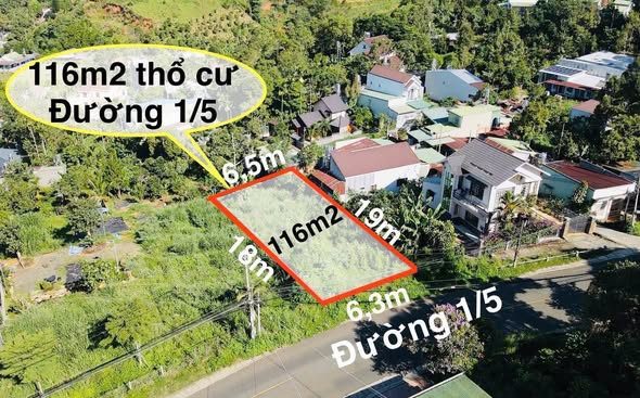 Bất động sản tại Lâm Đồng - ảnh 1