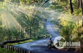 Bất động sản tại Lâm Đồng - ảnh 1