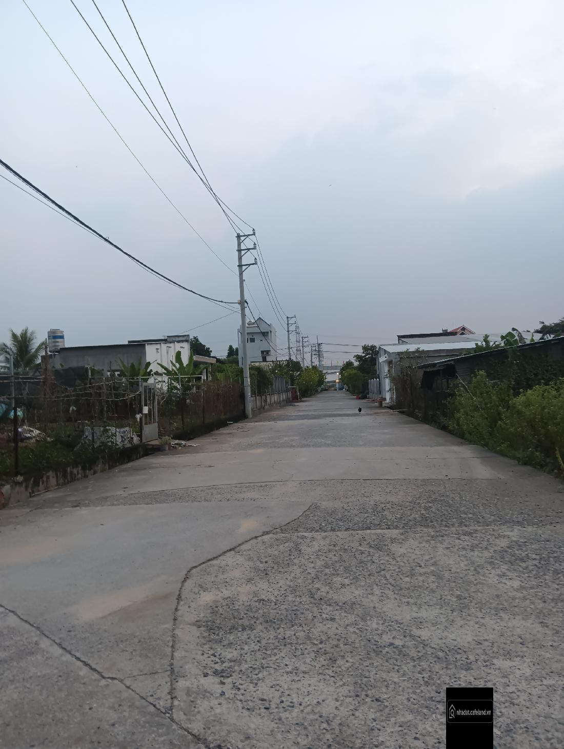 Bất động sản tại Đồng Nai - ảnh 1