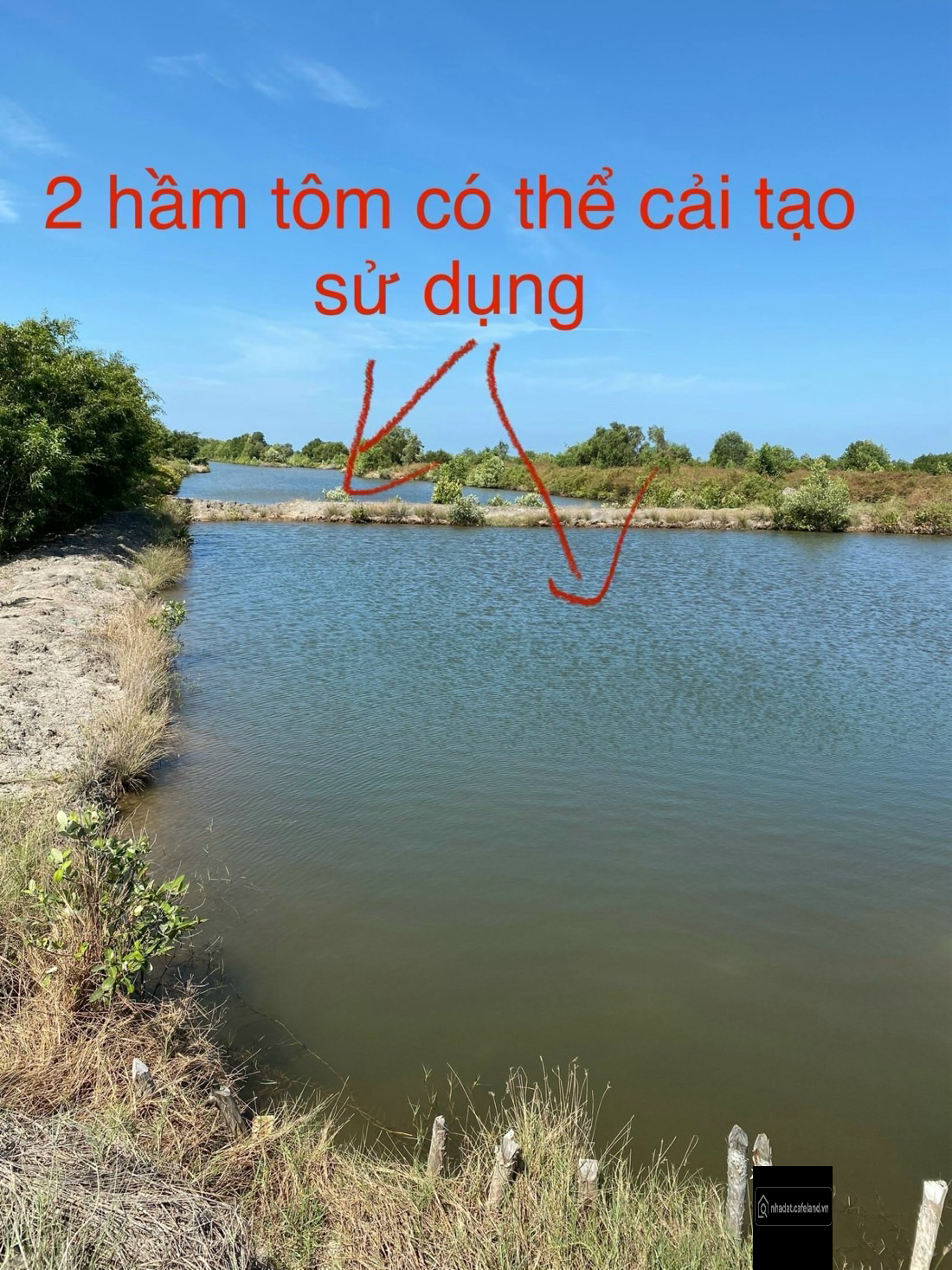 Bất động sản tại Cà Mau - ảnh 1