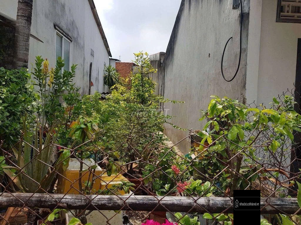 Bất động sản tại Tây Ninh - ảnh 1