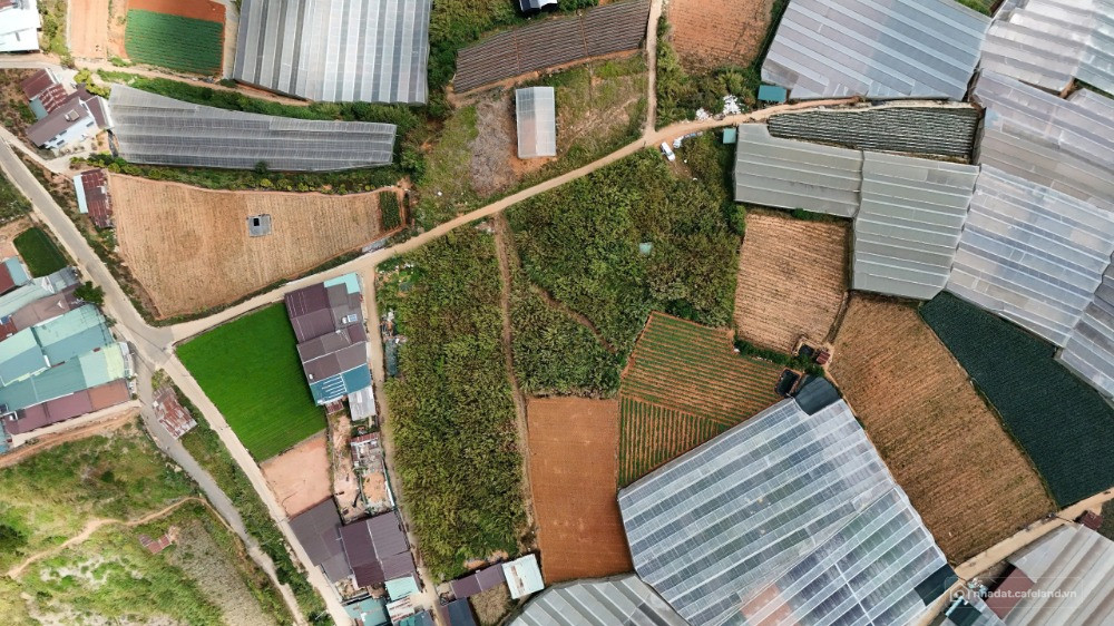 Bất động sản tại Lâm Đồng - ảnh 1