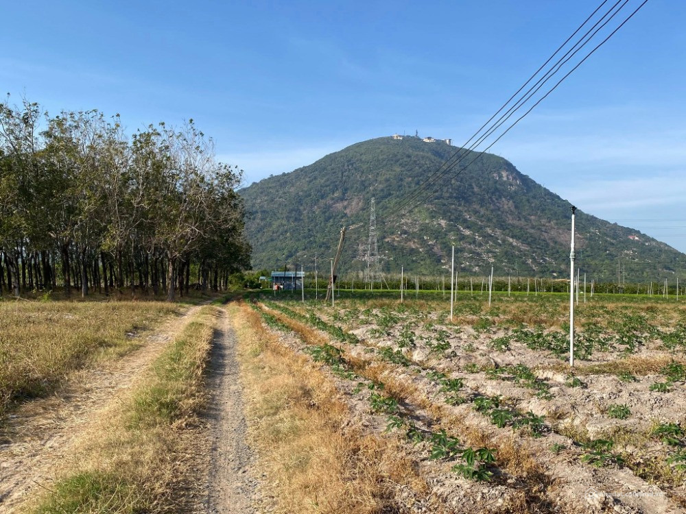 Bất động sản tại Tây Ninh - ảnh 1