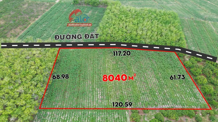 Bất động sản tại Tây Ninh - ảnh 1