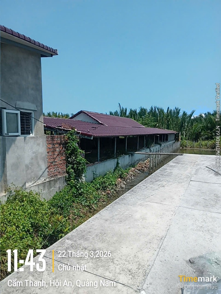 Bất động sản tại Đà Nẵng - ảnh 1