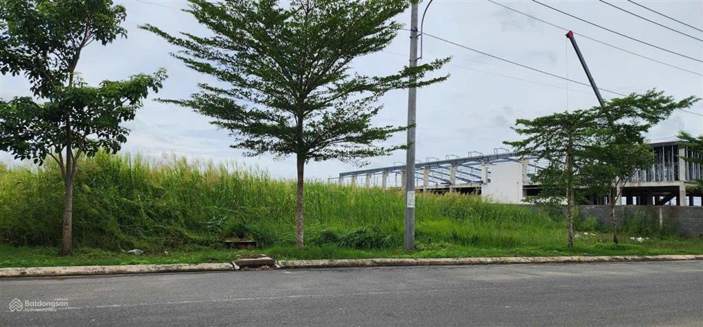 Bất động sản tại Long An - ảnh 1