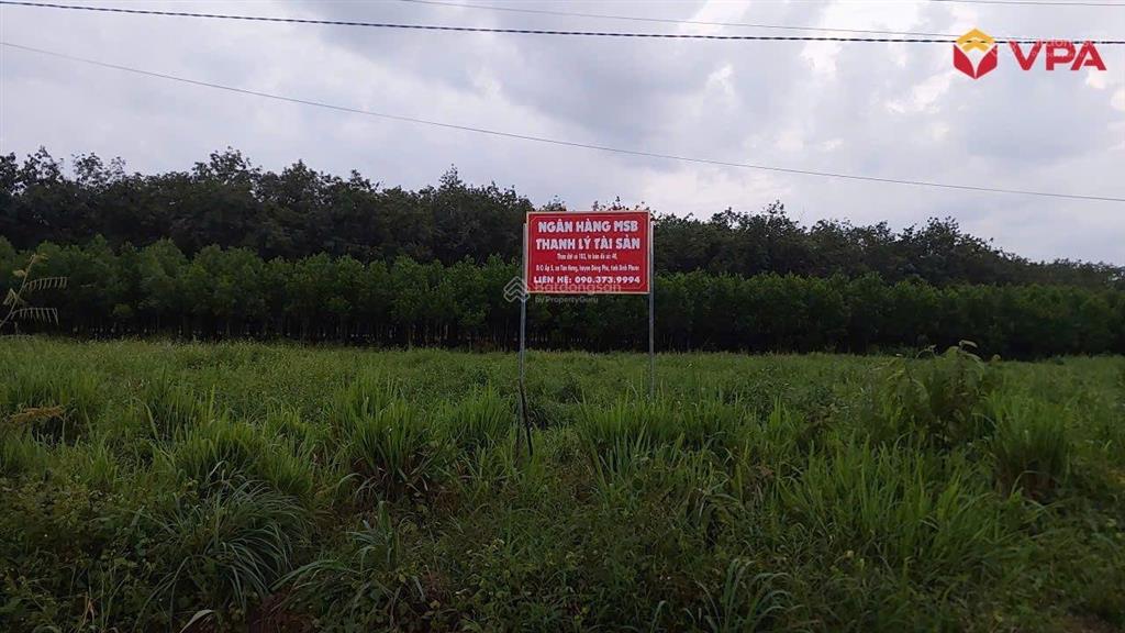 Bất động sản tại Bình Phước - ảnh 1