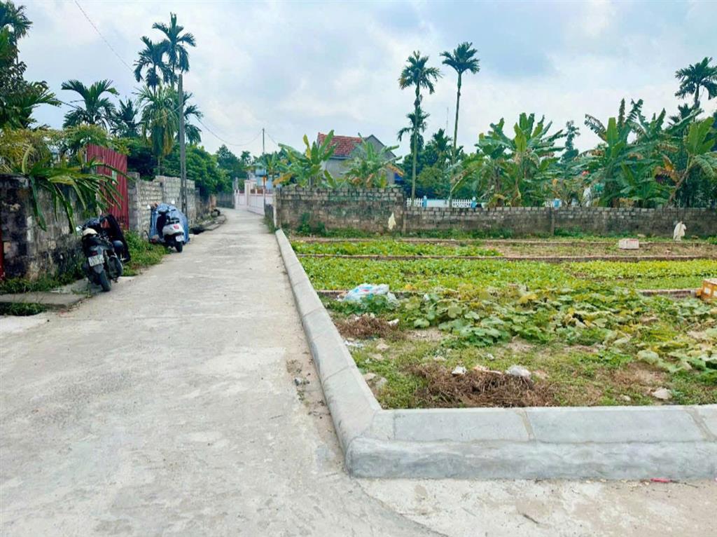 Bất động sản tại Hải Phòng - ảnh 1