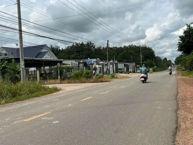 Bất động sản tại Đồng Nai - ảnh 1