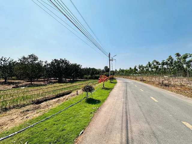 Bất động sản tại Bình Dương - ảnh 1
